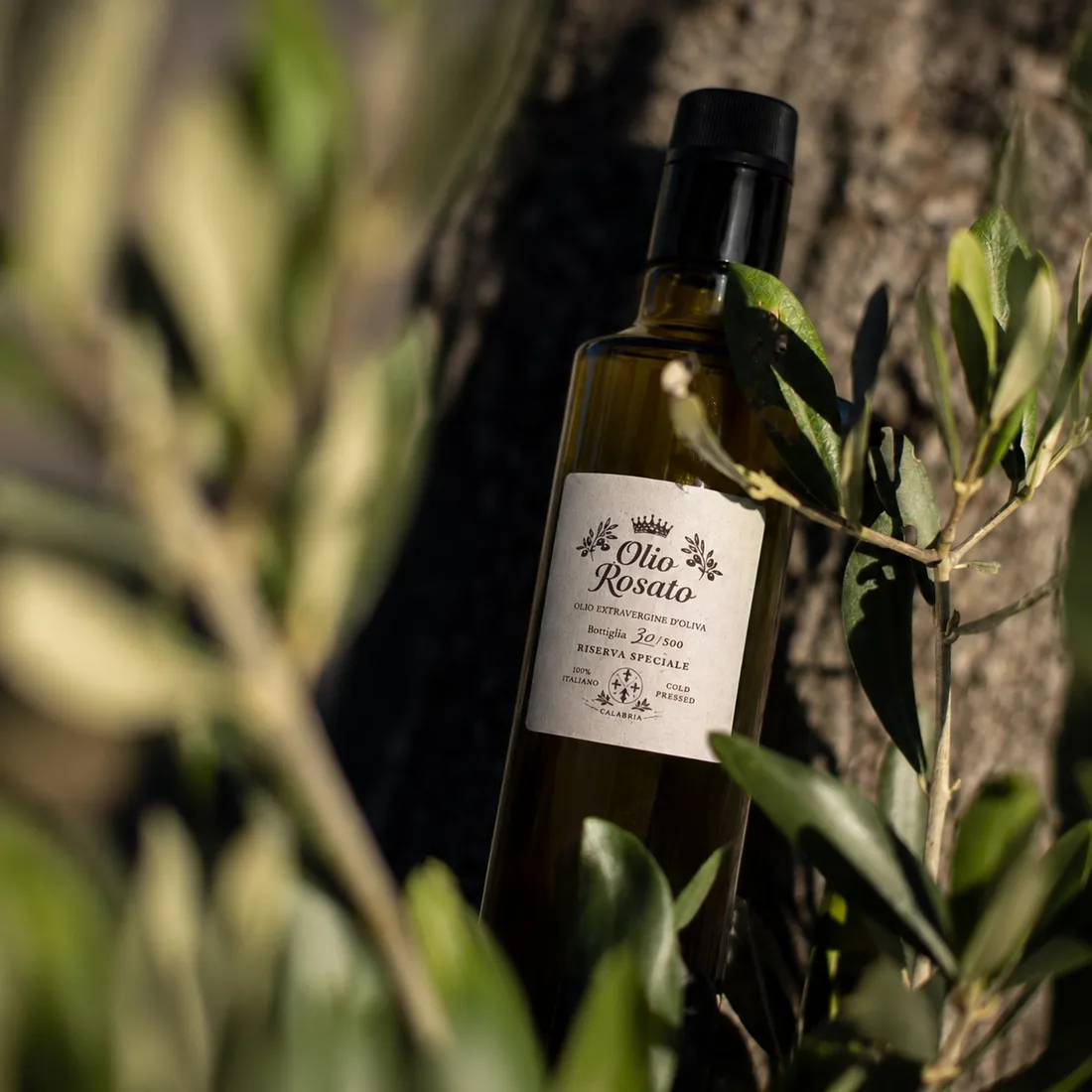 Olio Rosato Riserva Speciale tra i rami d'ulivo